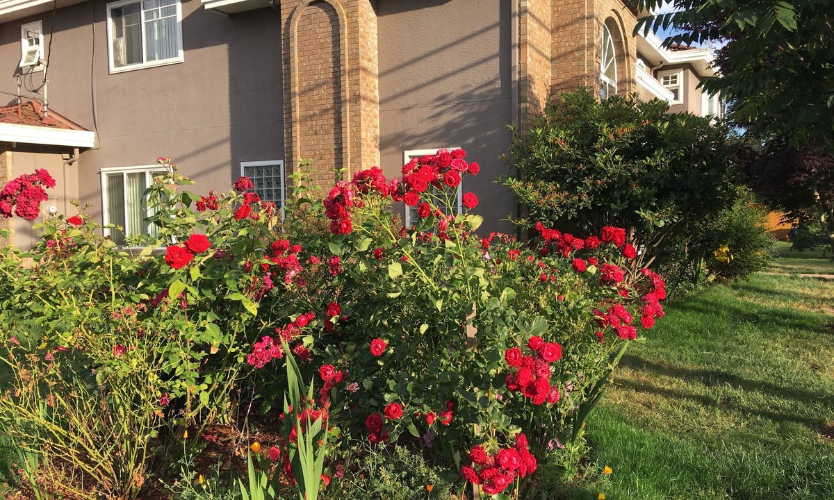 Richmond Bed & Breakfast | Rose Garden Vancouver