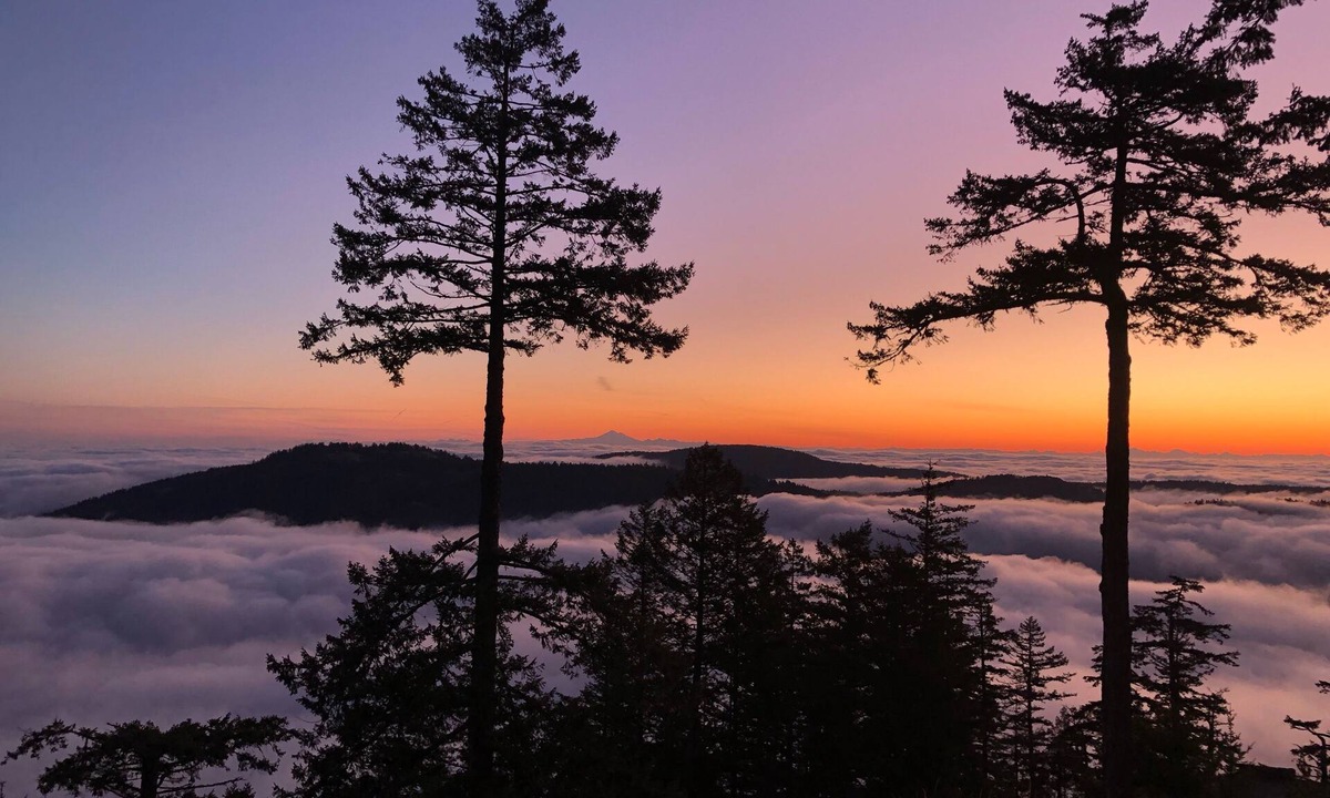 Juan de Fuca Electoral Area House | Rural retreat, amazing views on 21 acres, within driving distance to Victoria.