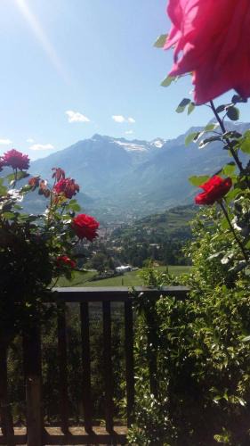 Merano Apartment | Schwarzplatterhof