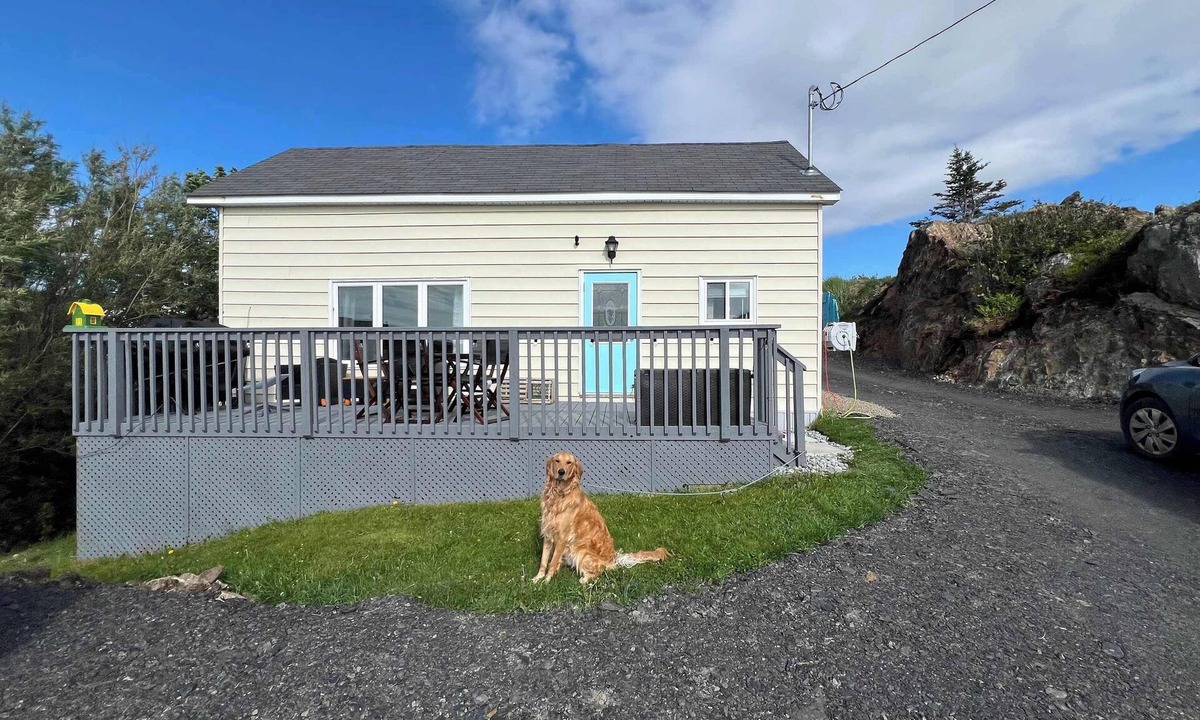 Twillingate House | Scout's House Summary