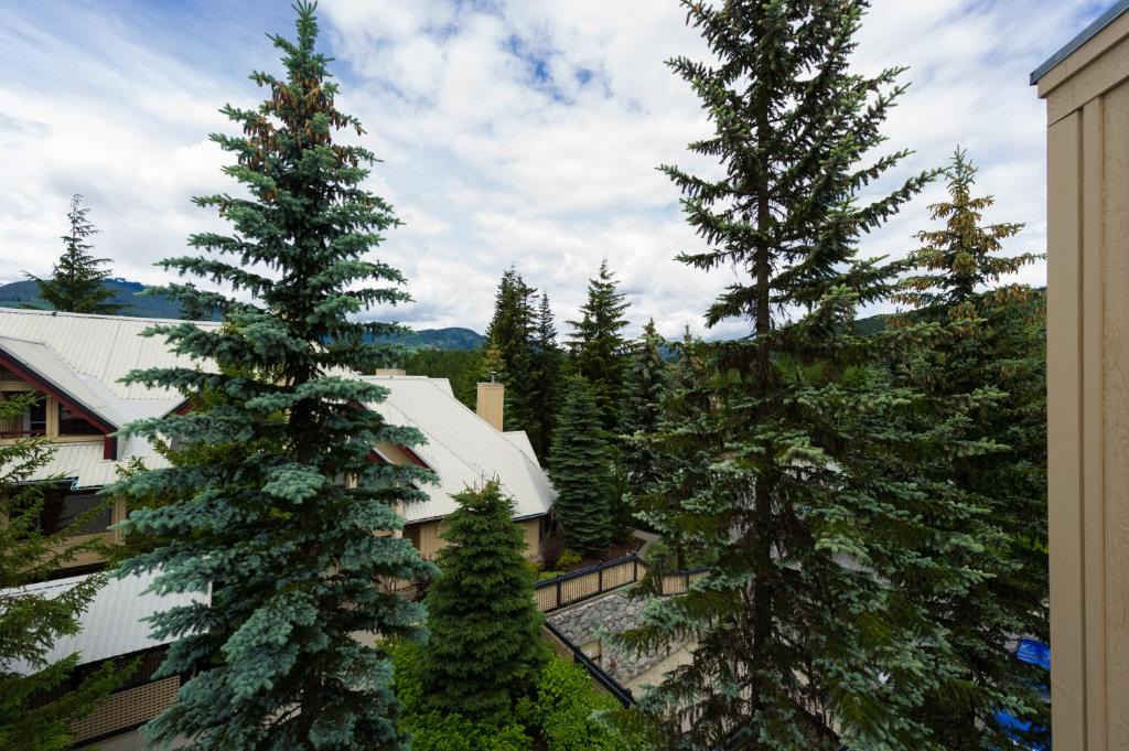 Blackcomb Apartment | Snowberry Villas