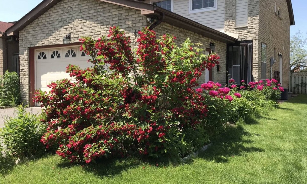 Unionville House | Stunning three bedroom family home