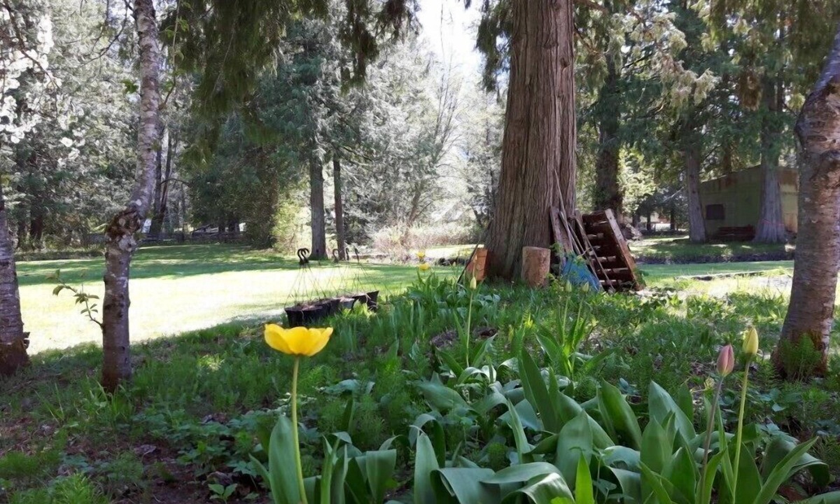 Mount Currie Hotel | The Hitching Post Motel