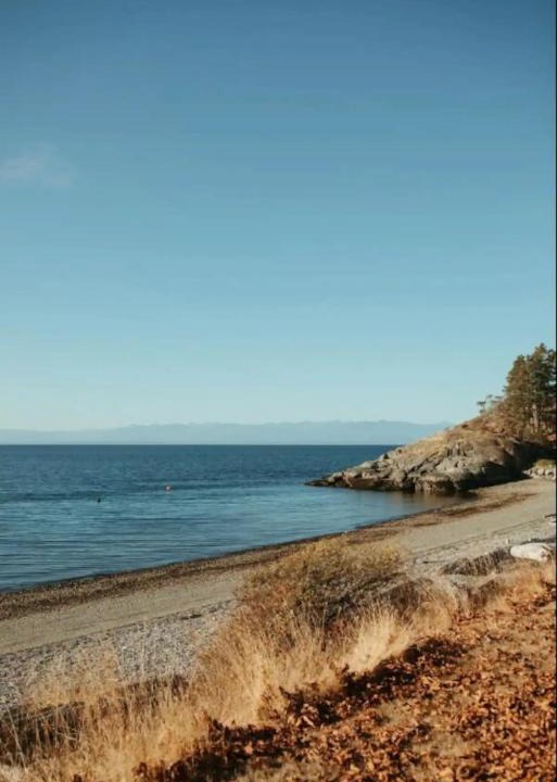 Powell River Other | The Little Beach Side CabinA11