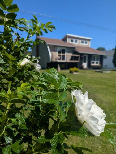 Terra Nova House | The Tidehouse