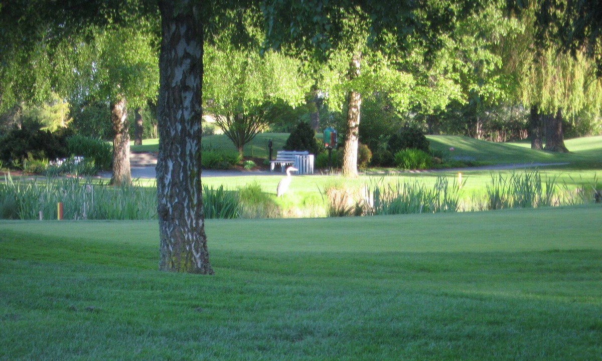 Delta Apartment | " TSAWWASSEN *5 STARS GOLF VIEW re-opens! « "