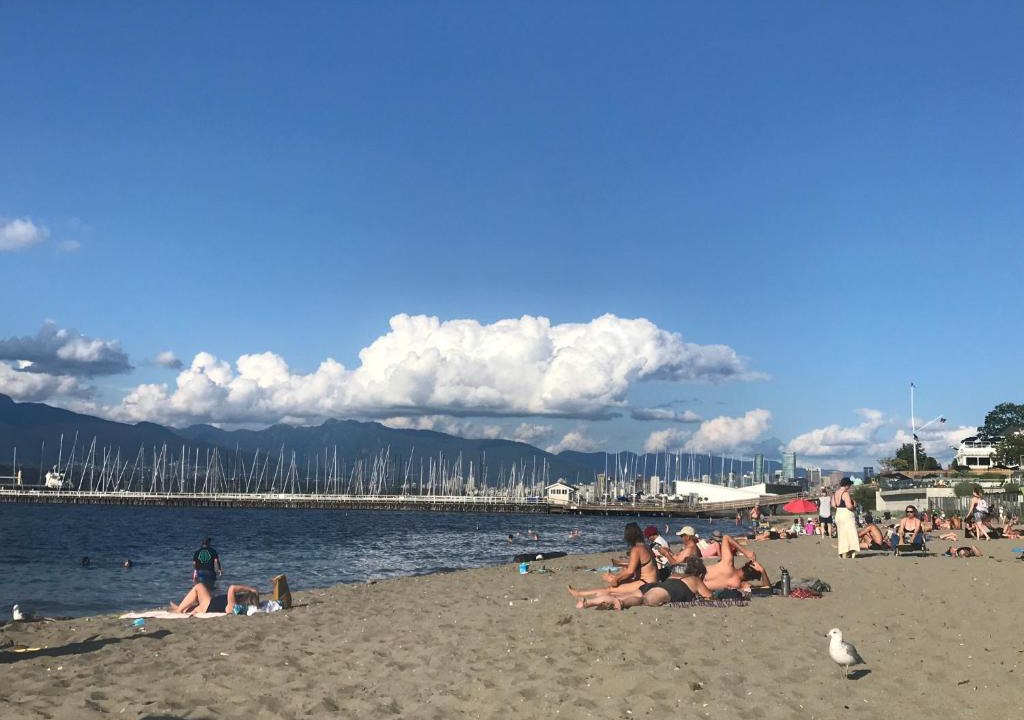 Kitsilano House | walk distance to kits beach 2bedrooms only for you