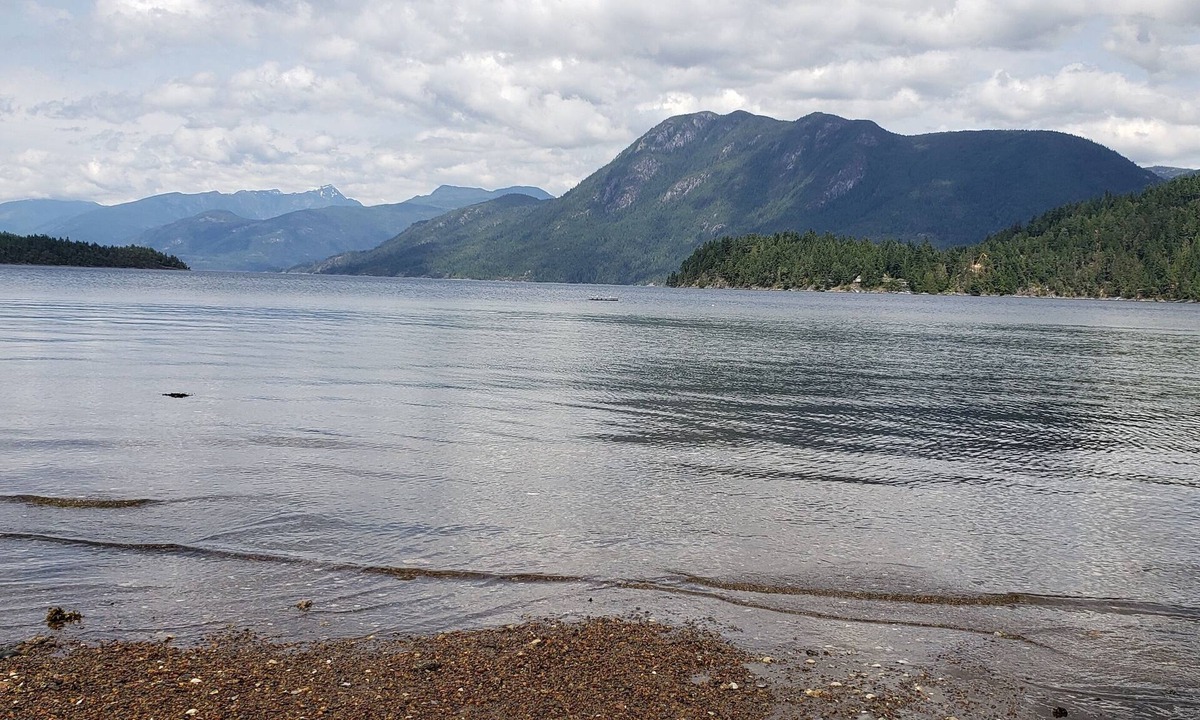 West Porpoise Bay House | Water & Mountain Views - Cute but spacious & cozy brand new studio