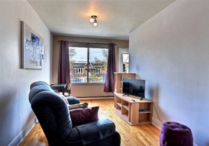#199 Cozy Furnished Apt in Rosemont