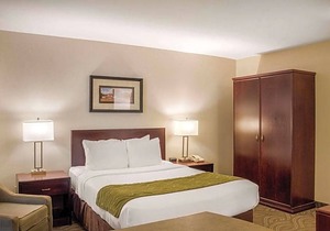 2-Star Hotel ∙ Comfort Inn Halifax