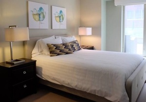 220 Deluxe Downtown Apartment with AC