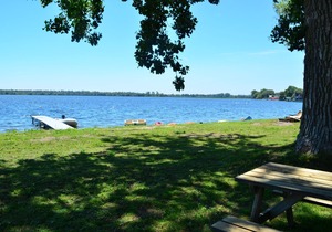#4 Family and pet friendly - monthly/seasonal rental