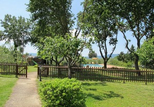 49 m² House ∙ 1 bedroom ∙ 3 guests