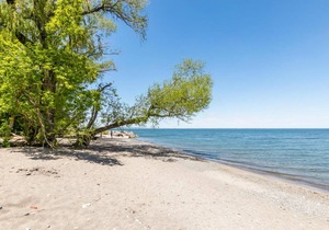 4BR 3BA Townhouse on Lake Ontario. Free parking. Gym (2)