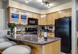 Acer Vacations | 1 Bedroom Bathroom Ski-In Ski-Out - Greystone Lodge