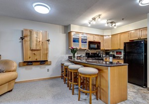 Acer Vacations | 1 Bedroom Bathroom Ski-In Ski-Out - Greystone Lodge