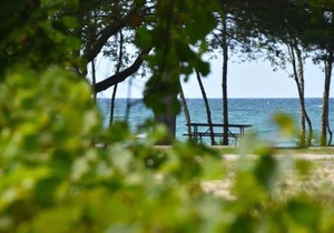 Adrians Wasaga Beach