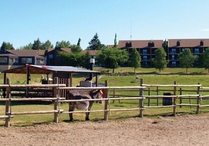 Beautiful 3 bedroom unit at resort, sleeps 6