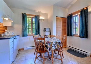 Beautiful cottage in Val-David - Log house #6