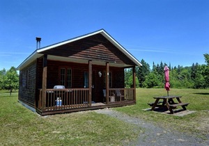 Beautiful cottage in Val-David - Log house #4