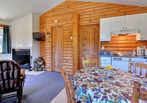 Beautiful cottage in Val-David - Log house #3