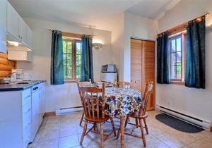 Beautiful cottage in Val-David - Log house #3
