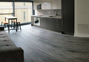 Beautiful Furnished Condo next to College Subway Station
