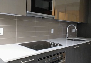 Beautiful Furnished Condo next to College Subway Station