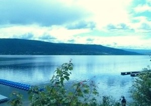 Beautiful lake view! Family, pet friendly, relax & enjoy ☀️