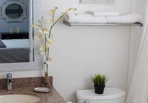Beautiful Mountain Studio in The Blue Mountains
