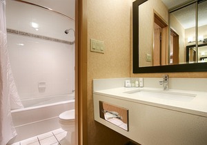 Best Western Plus Langley Inn
