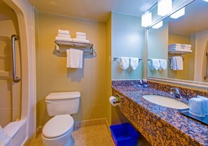 Best Western Plus Toronto Airport Hotel