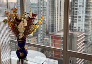Brilliant Sunsets from 2br/2ba Luxury Suite in Yaletown near Waterfront/Seawall