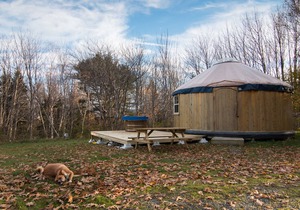 Cedar Yurt at Cabot Shores Wilderness Resort