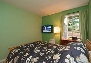 Charming Ski in/Ski Out townhouse, Free parking, Wood Fireplace, Professionally Managed