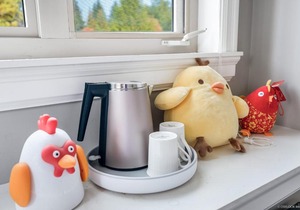 Cheerful 1-bedroom Suite A in Vancouver
