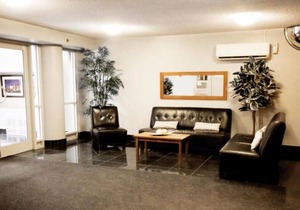 Comfort and Convenience! 4 Relaxing Units, Pets Allowed, Near Place des Arts