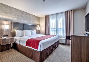 Comfort Inn And Suites South