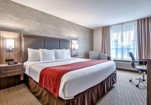 Comfort Inn And Suites South