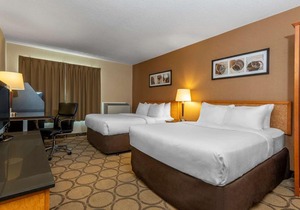 Comfort Inn Belleville