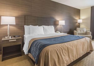 Comfort Inn Levis
