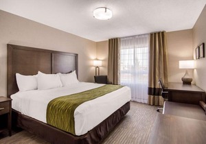 Comfort Inn & Suites Red Deer