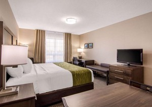 Comfort Inn & Suites Red Deer