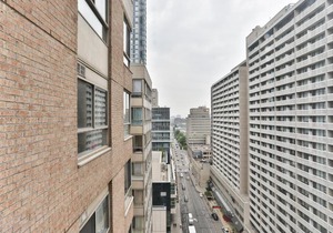 Comfortable Downtown Apartment