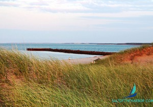 Condo with a view - North Rustico harbor - SALTOFTHEHARBOR #3