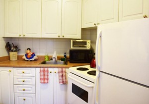 Cosy 1 Bedroom Flat in Yorkville