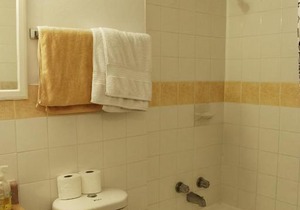 Cosy 1 Bedroom Flat in Yorkville