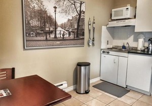 Cozy 1-Bedroom Suite #17 by Amazing Property Rentals