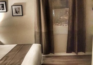 Cozy 1-Bedroom Suite #17 by Amazing Property Rentals