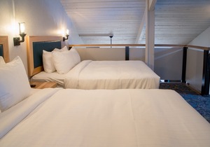Deluxe Condo + Cozy Loft | See Wildlife outside your window!